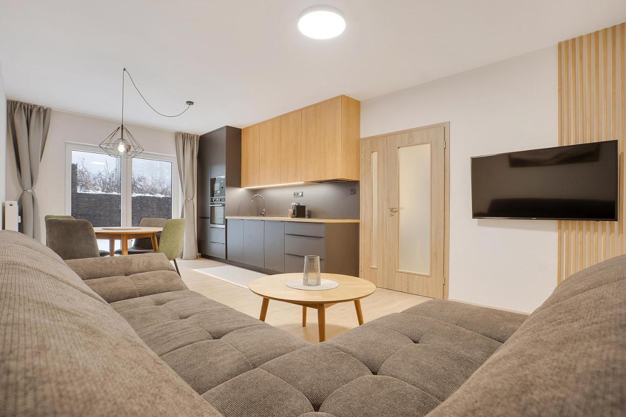 Krusnohorske Strane Appartement Loučná pod Klínovcem Buitenkant foto