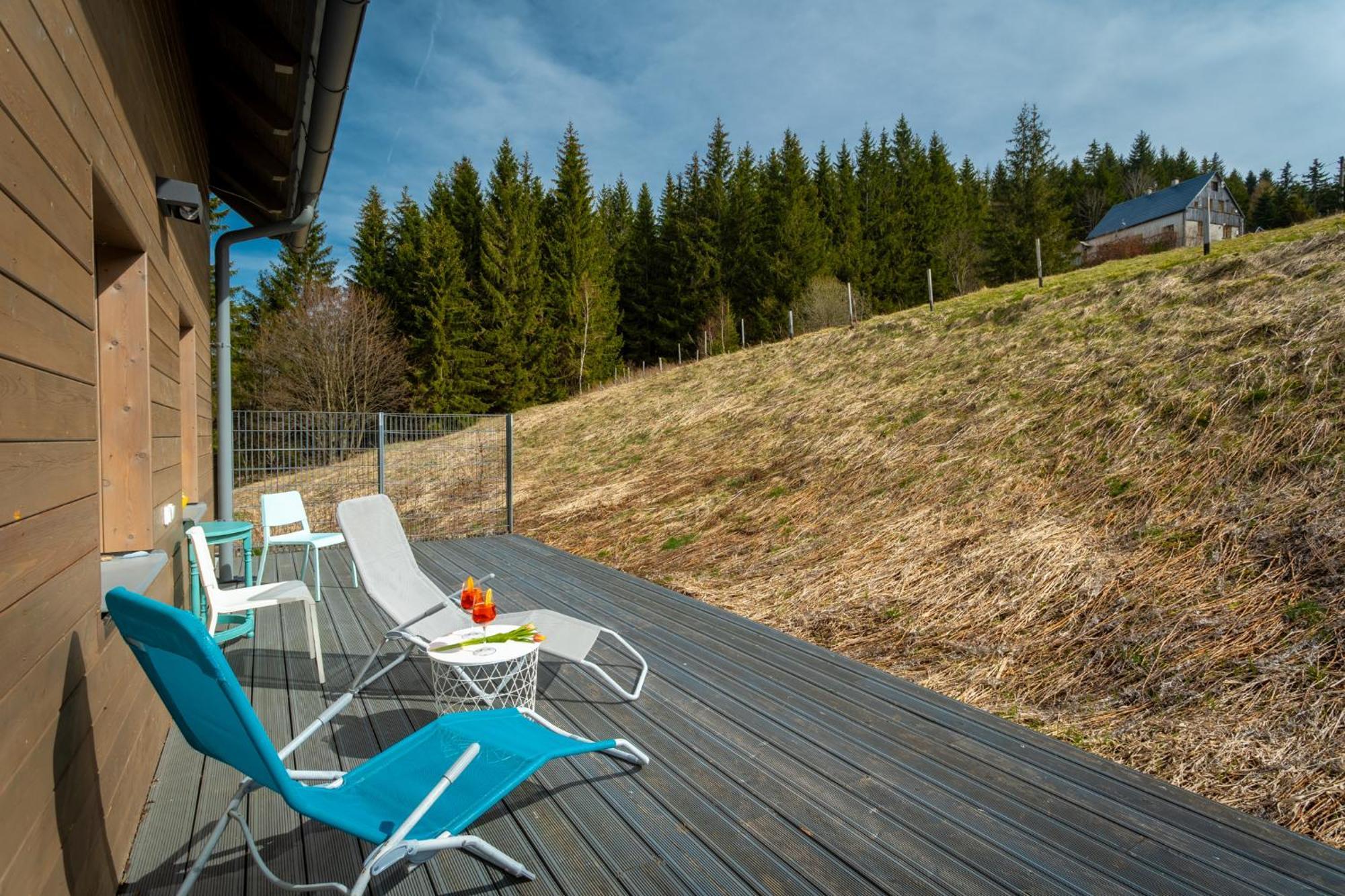 Krusnohorske Strane Appartement Loučná pod Klínovcem Buitenkant foto